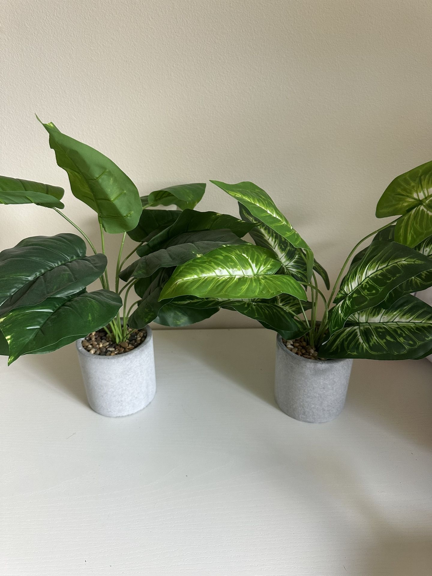 Fake Plants