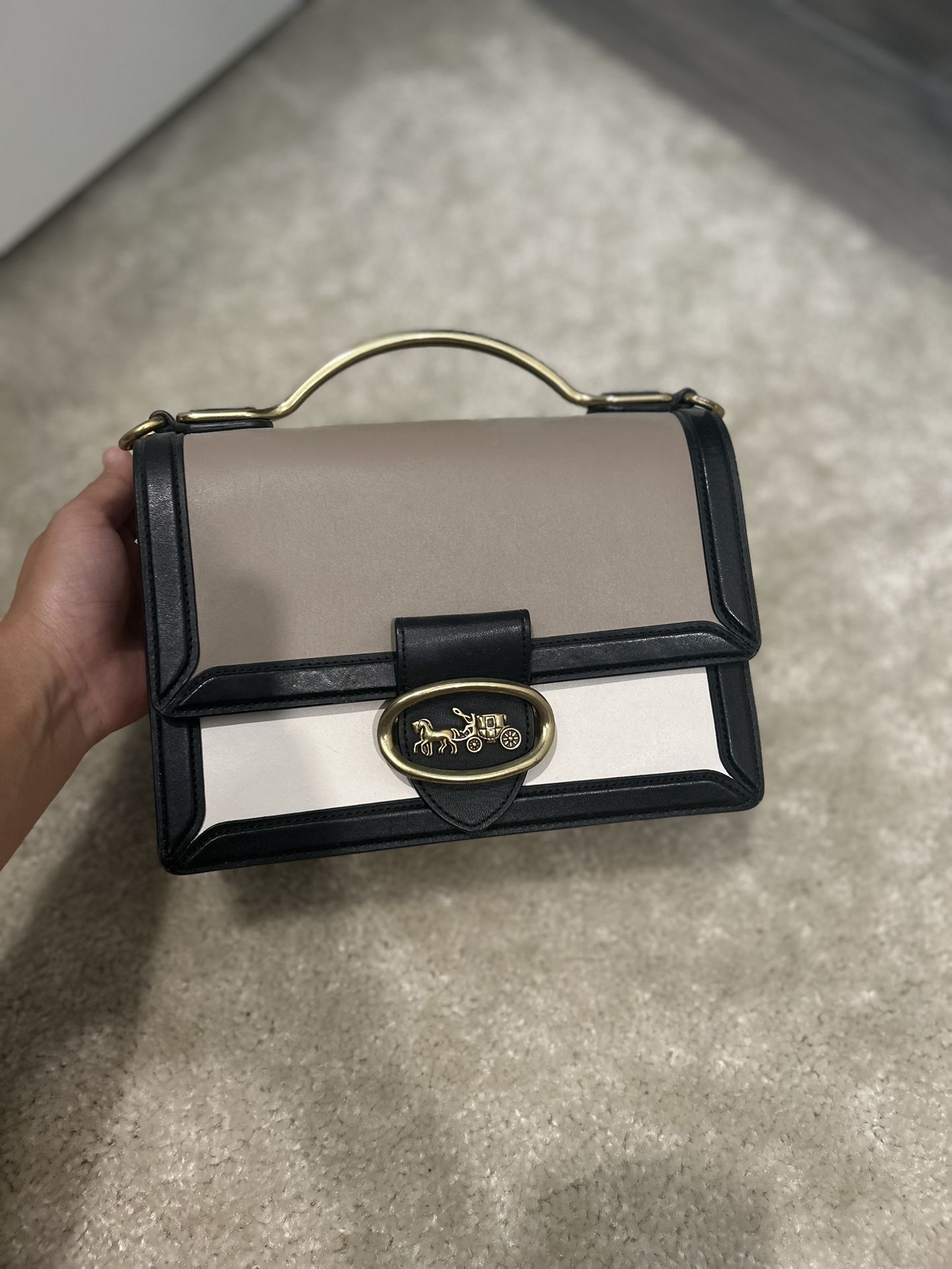 Coach Riley 18 Crossbody Handbag