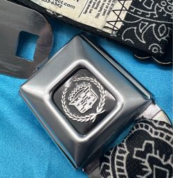Belt