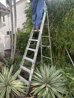 8ft Ladder