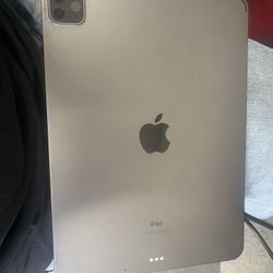 iPad Pro 12.9 5th Gen