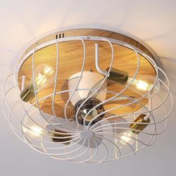 Ceiling Fan With Light!! 