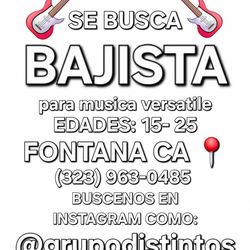 SE BUSCA BAJISTA