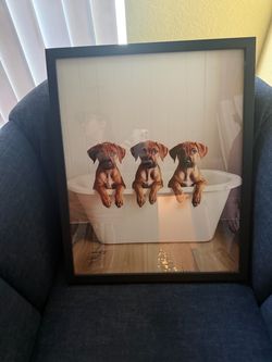 Framed Rhodesian Ridgeback Print Wall Art