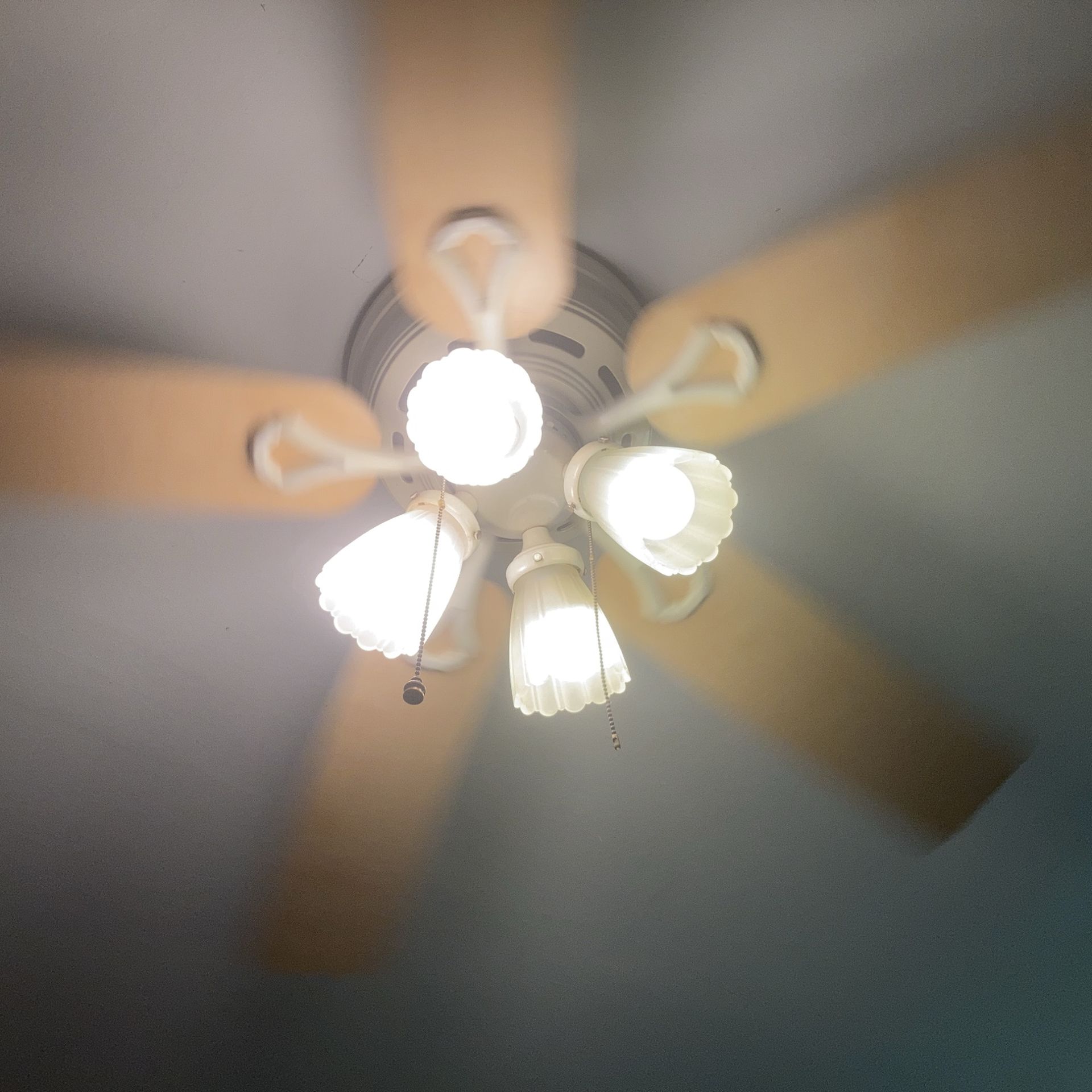 Ceiling Fan