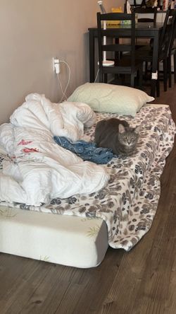 portable mattress full size