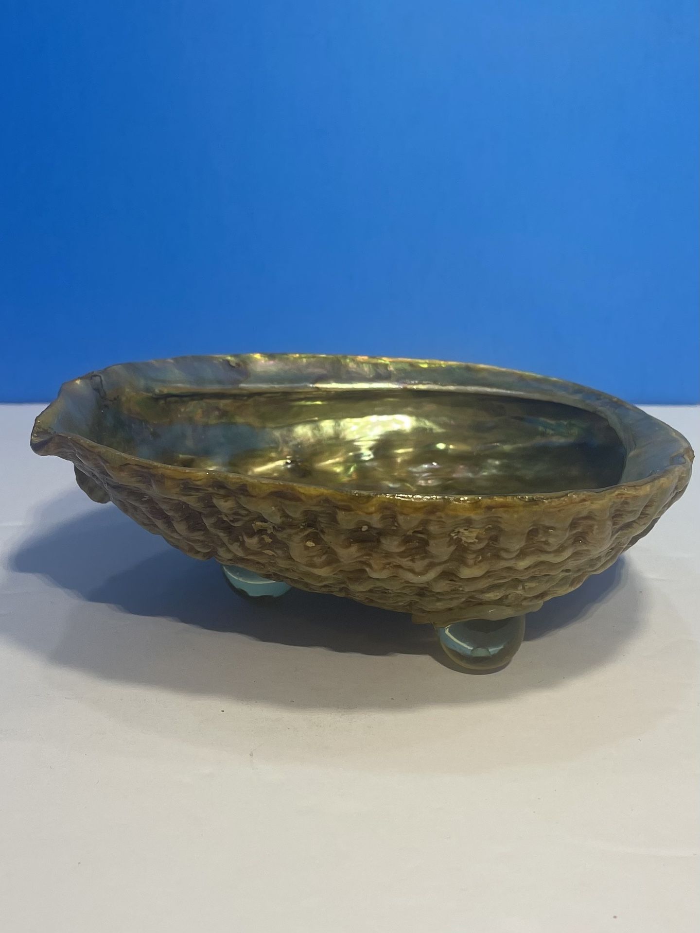 Natural Abalone Seashell Large 6” Iridescent Green Pink Gold Shell Bowl