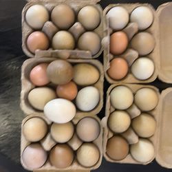 Eggs for sale