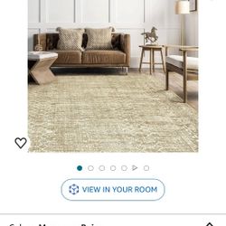 Washable Area Rug (6×9)