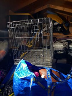 Dog Kennel