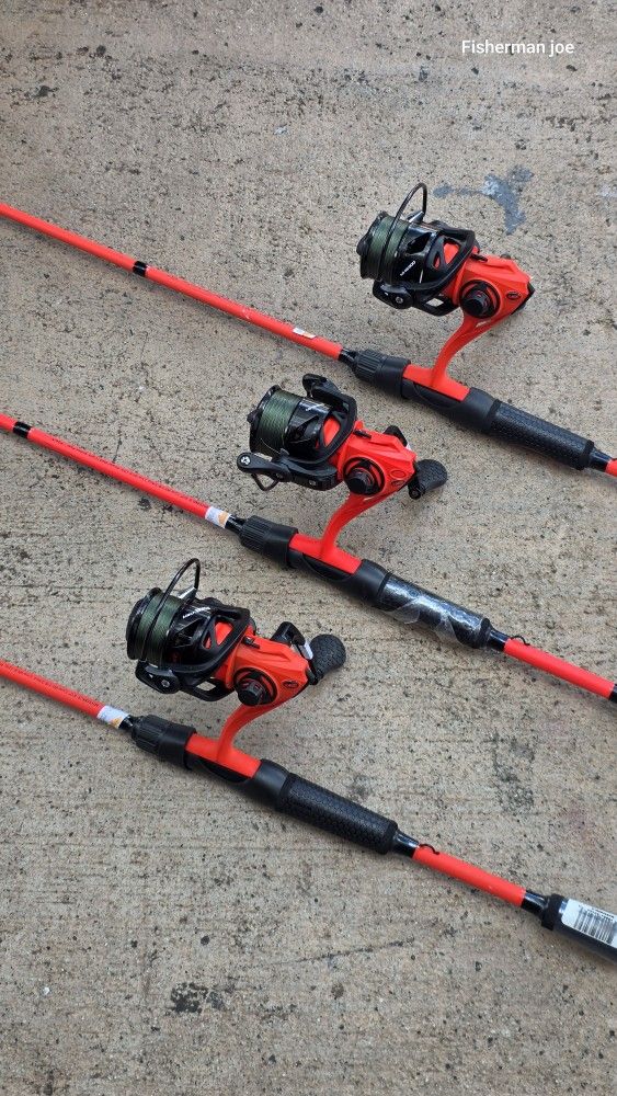 Lew Fishing Reel/New Braid/New Rod