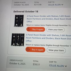 One four and one six room divider with Shelves