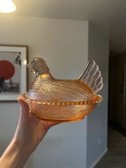 Peach Indiana hen on nest