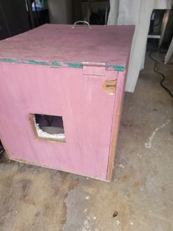 Free cat house