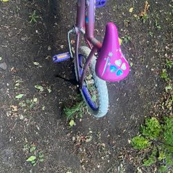 Girls Bike 