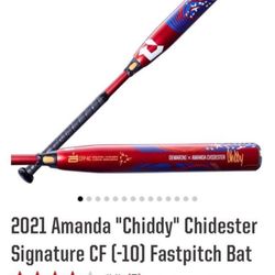 Fastpitch Bat