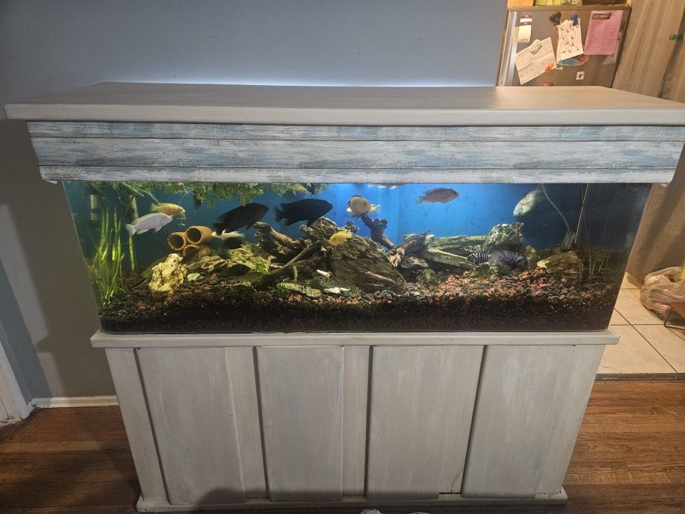Aquarium 100 Gallon Tank Complete with Stand and Lid