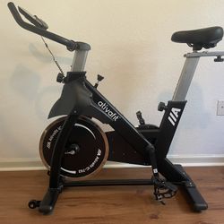 Ativafit IC-702 Exercise/Spin Bike