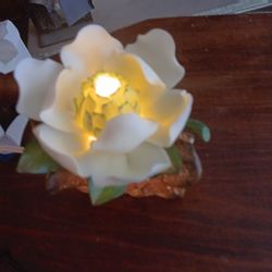 Vintage Porcelain Magnolia Night Light or Accent Light 