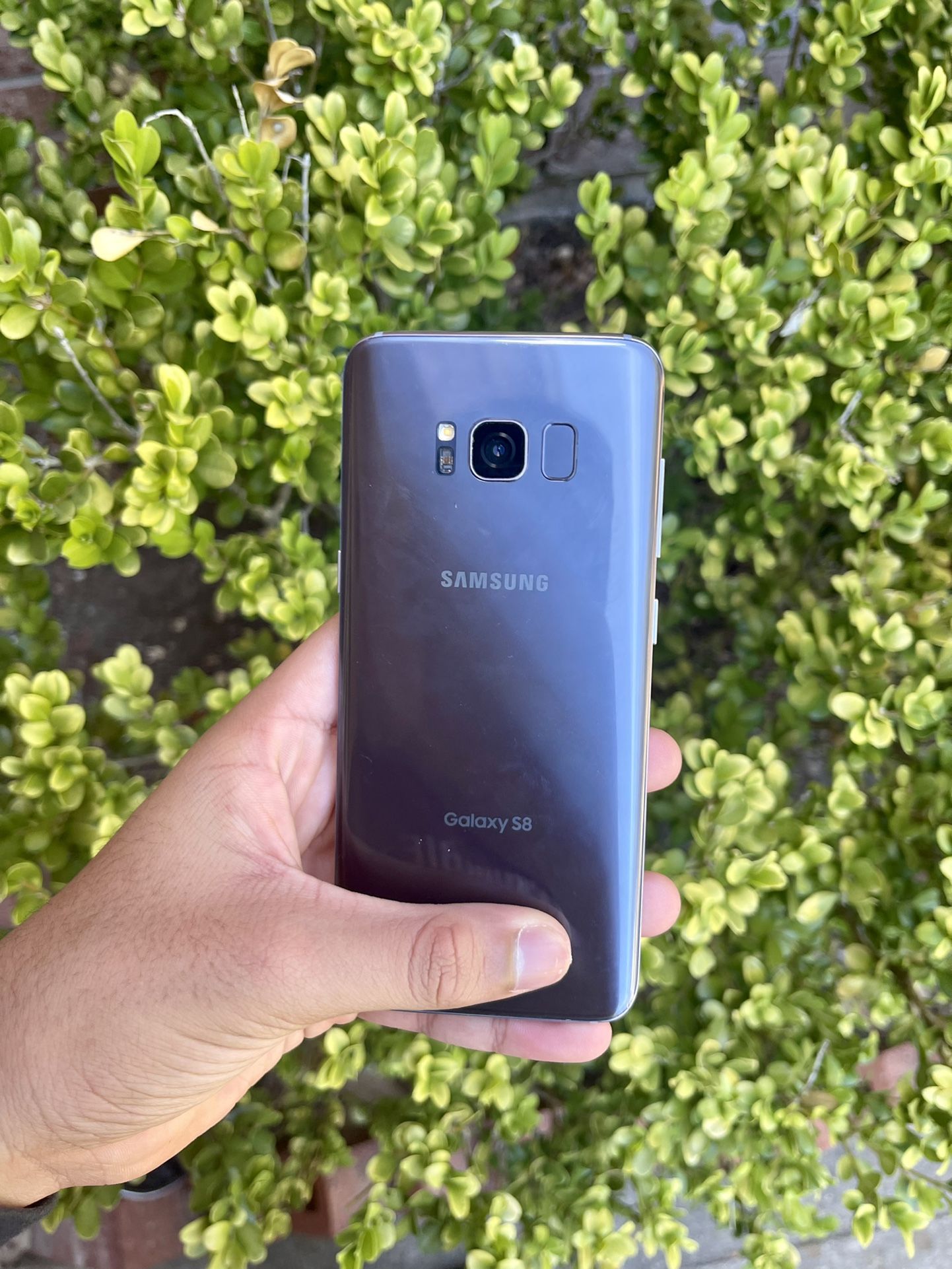 Samsung Galaxy S8 Factory Unlocked Like New + Used (Have 2, Price For Each)