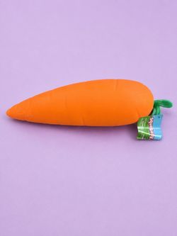 Squeezy Carrot Squishy Toy