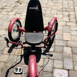 recumbent adult tricycle