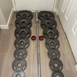 Home Gym 