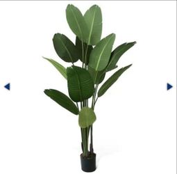 Faux bird of paradise plant