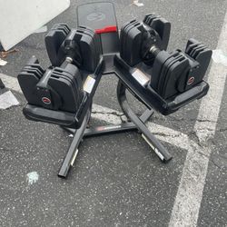 Bowflex Weights
