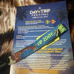 Day Trip Festival VIP