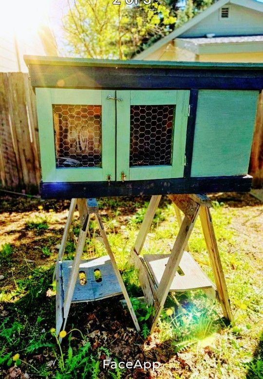 Chicken Coop Or Bunny Cages