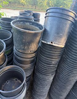 3 gallons pots