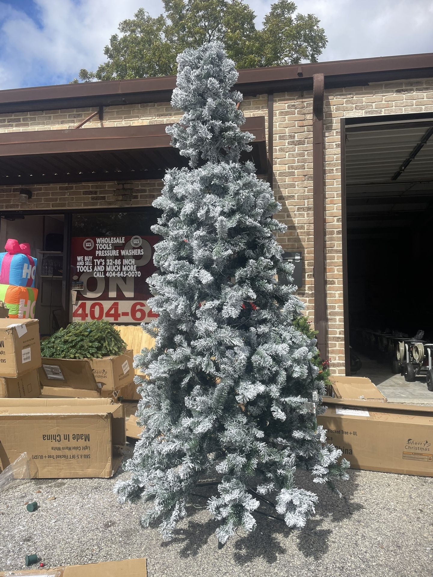 CHRISTMAS TREES