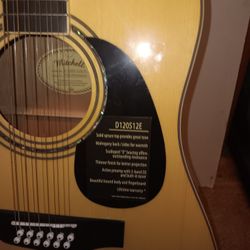 Mitchell 12 String Guitar 
