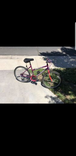 Mountain bike