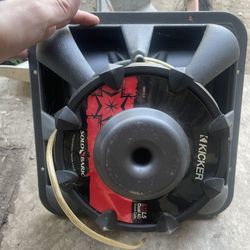 Two 12 Inch Kicker Speakers