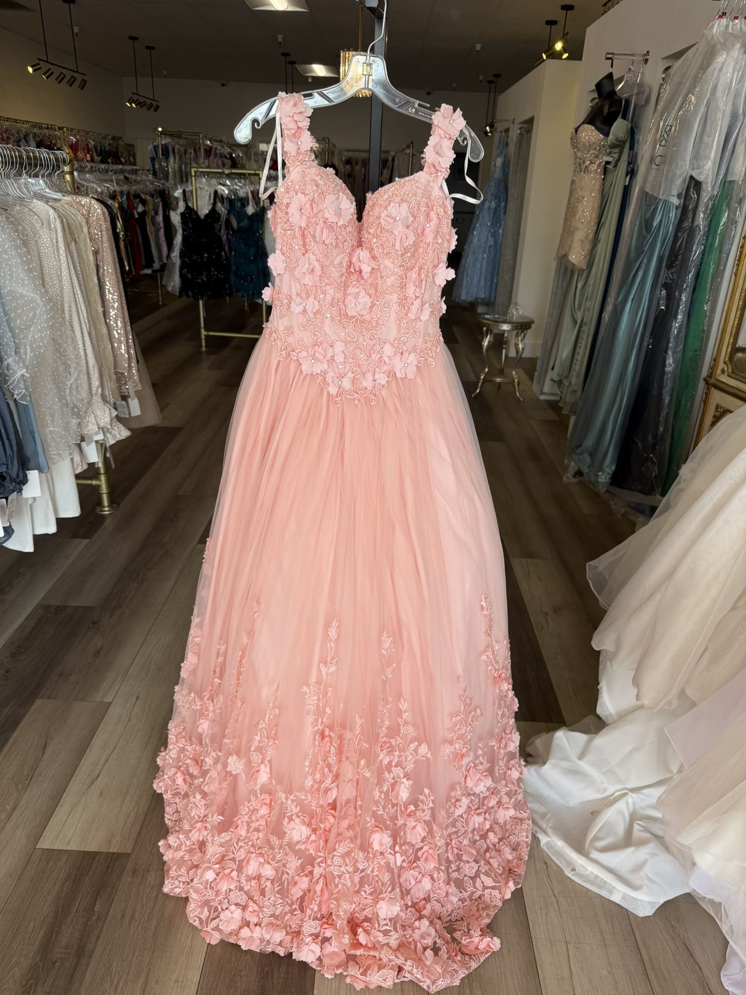 Blush Quinceanera Dresses Sizes 6 And 10