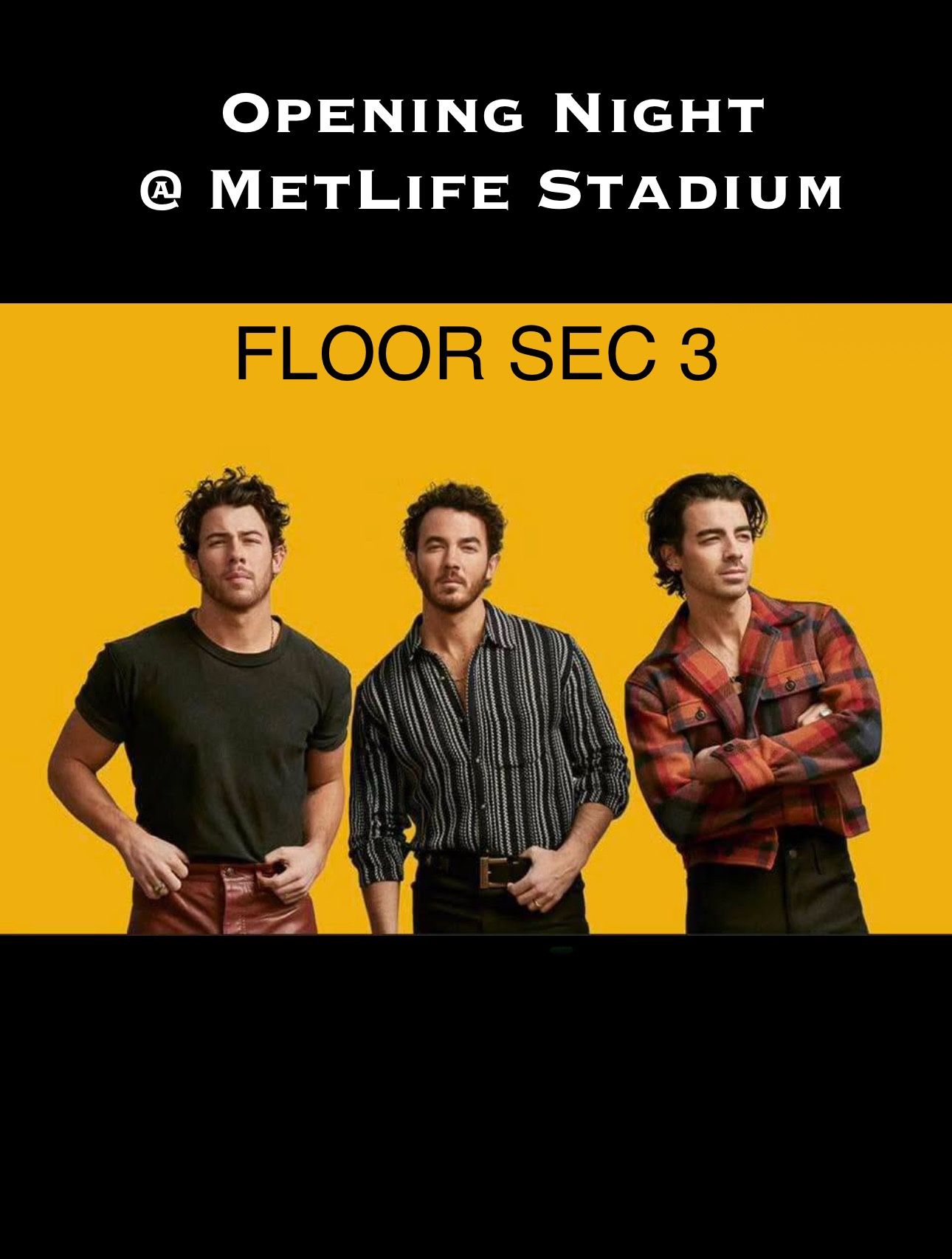 FLOOR SEC 3 Jonas Brothers Opening Night MetLife Stadium