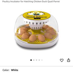 Egg Incubator