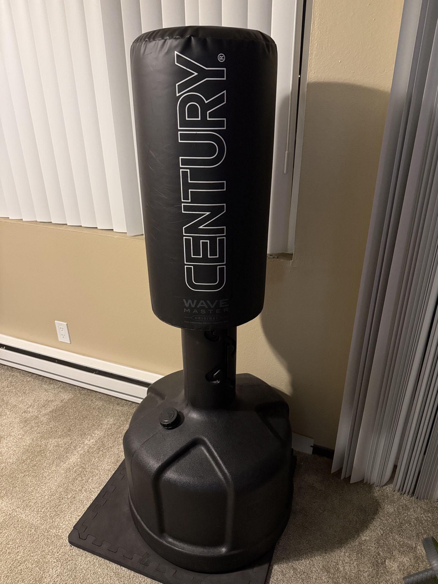 Century Wave Master Punching Bag