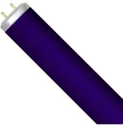 Black Lights