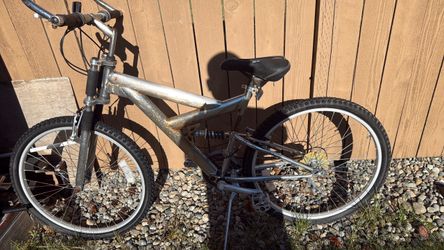 Adult bicycle