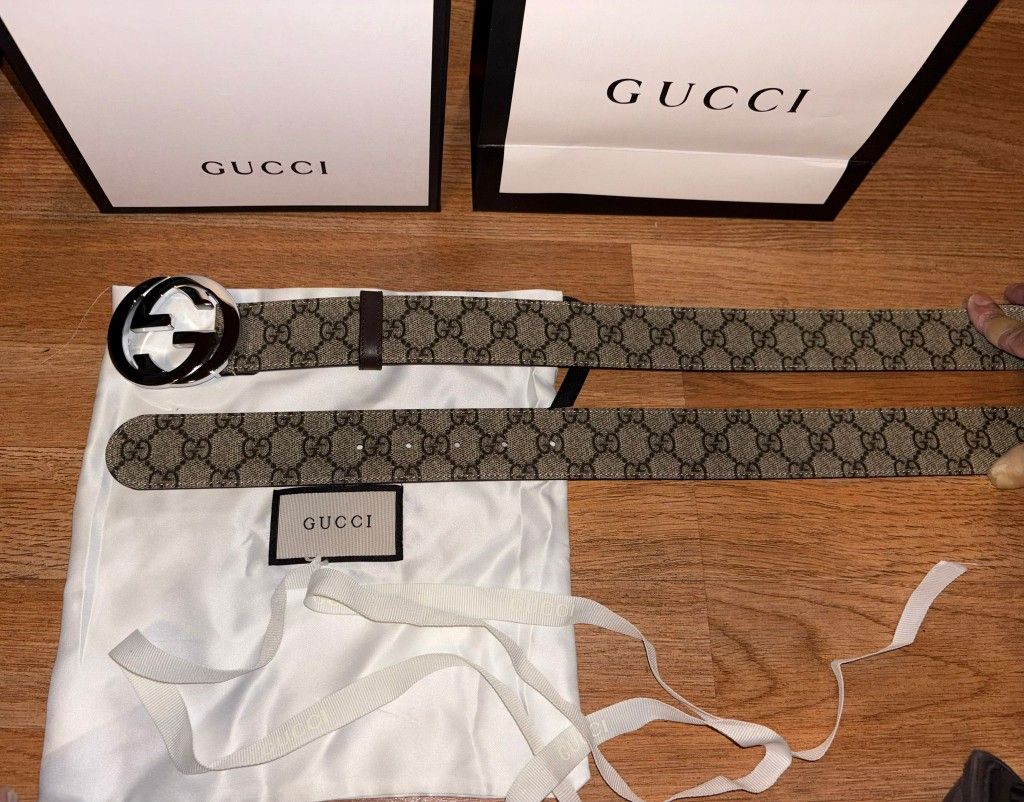 Gg Brown Monogram Belt 