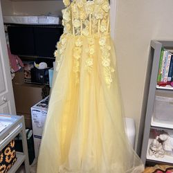 Quinceanera Dress OBO