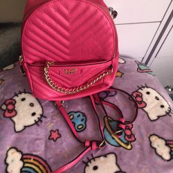 Victoria Secret Mini Bag