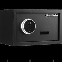 Biometric Security Safe with Touch Screen Electronic