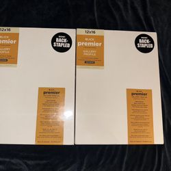 Two Brick Premier Stretched Canvases – 12x16 – Brand New