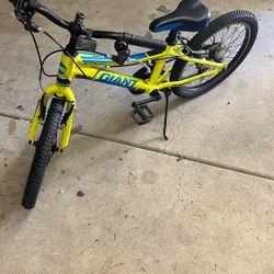 20” Boys Giant XTC Jr Aluxx Bicycle Project Bike