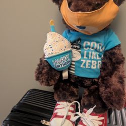 Fully Clothed Build A Bear Teddy