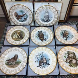 Edward Marshall Boehm Owl Plate 8 PCs Set